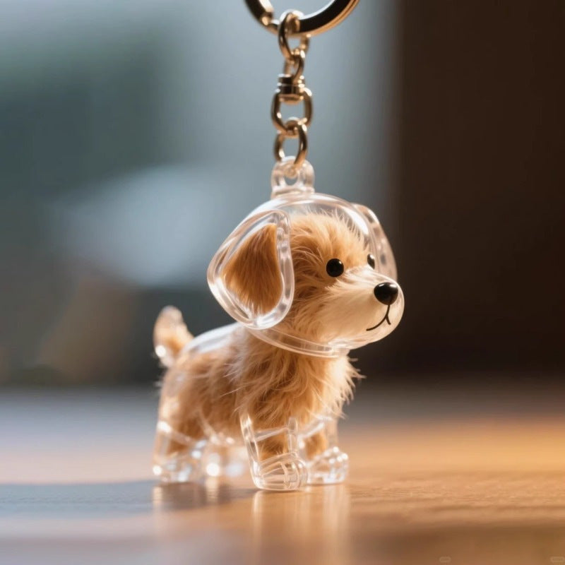 Transparent Case Fuzzy Ball Pendant Pet Hair Storage Keychain