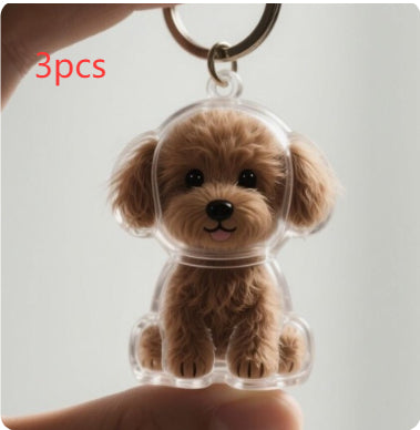 Transparent Case Fuzzy Ball Pendant Pet Hair Storage Keychain