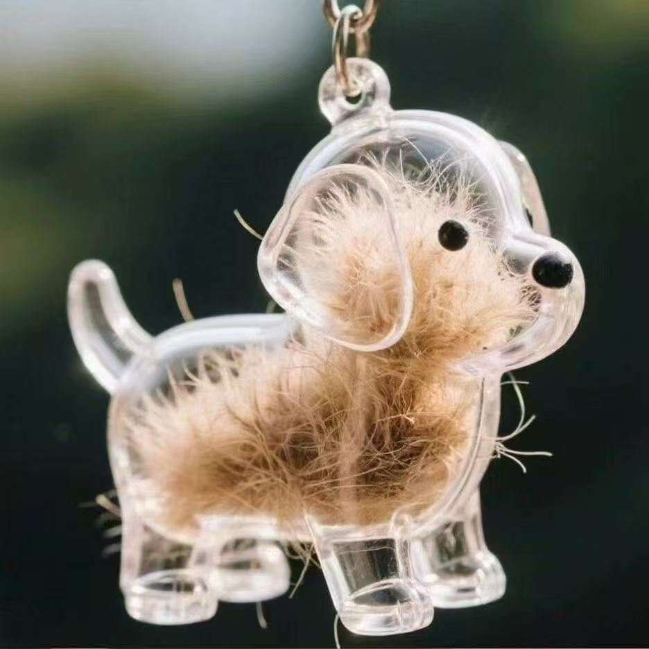 Transparent Case Fuzzy Ball Pendant Pet Hair Storage Keychain