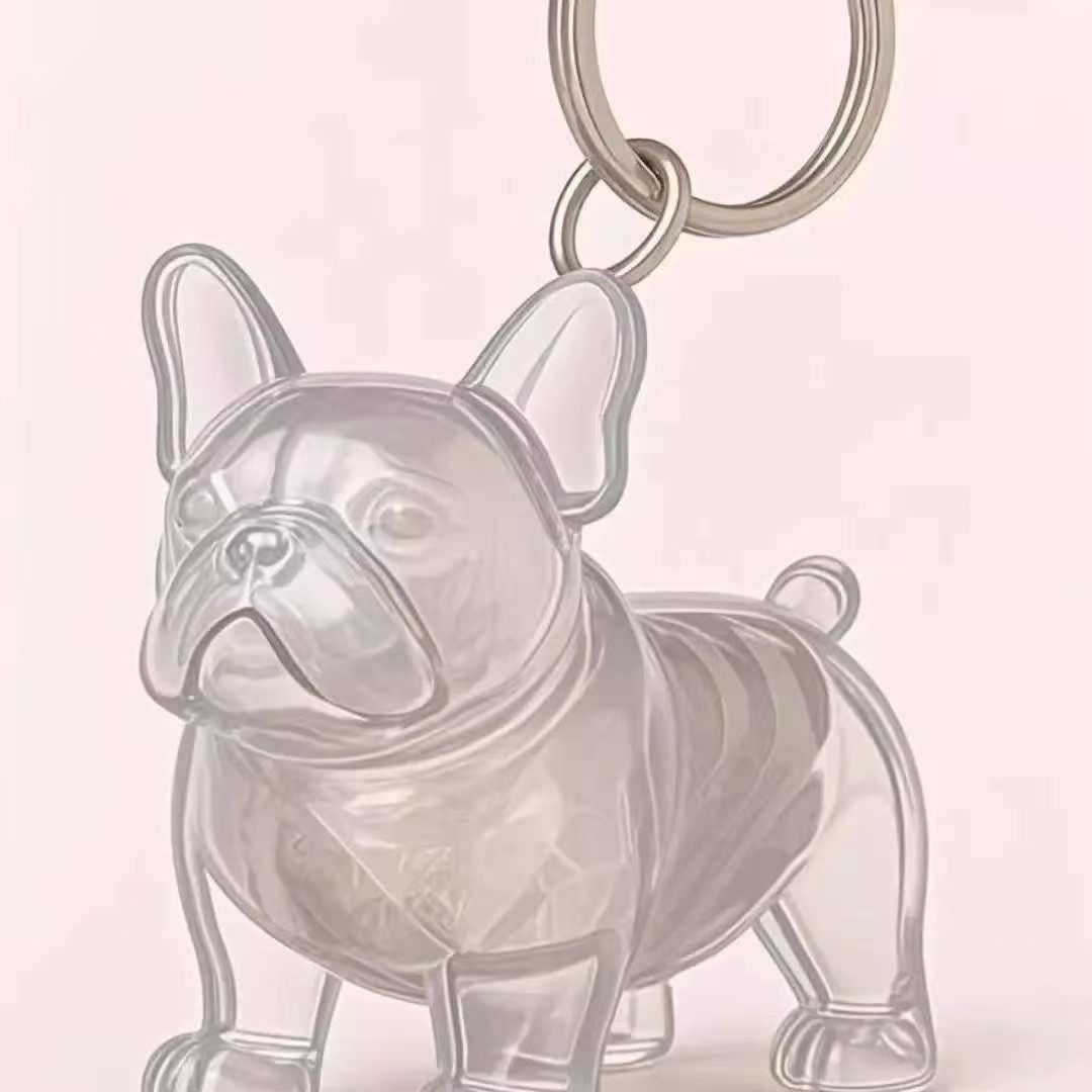 Transparent Case Fuzzy Ball Pendant Pet Hair Storage Keychain